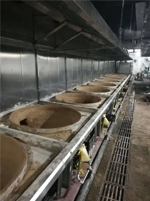 中邦氣化爐商用設備 從高清安裝圖到企業(yè)實力全解析